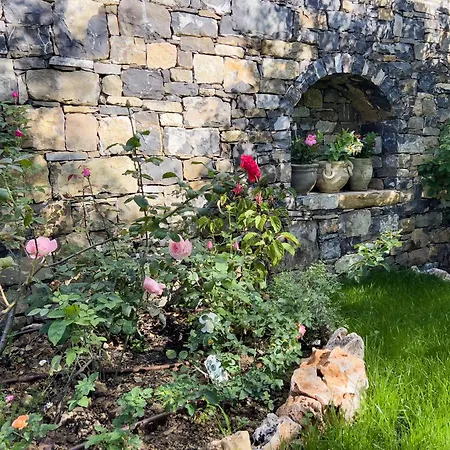 Mimosa Diano Marina: Exclusive Use Villa, Garden, Barbecue, 3 Bedrooms And 3 Bathrooms Diano Marina