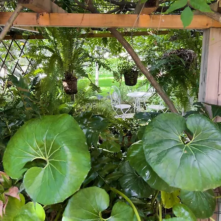 Villa Mimosa Diano Marina: Exclusive Use Villa, Garden, Barbecue, 3 Bedrooms&3 Bathrooms