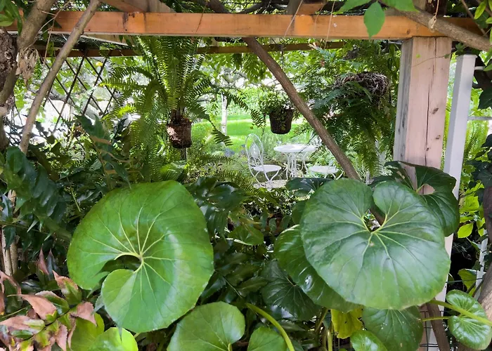 Villa Mimosa Diano Marina: Exclusive Use Villa, Garden, Barbecue, 3 Bedrooms And 3 Bathrooms